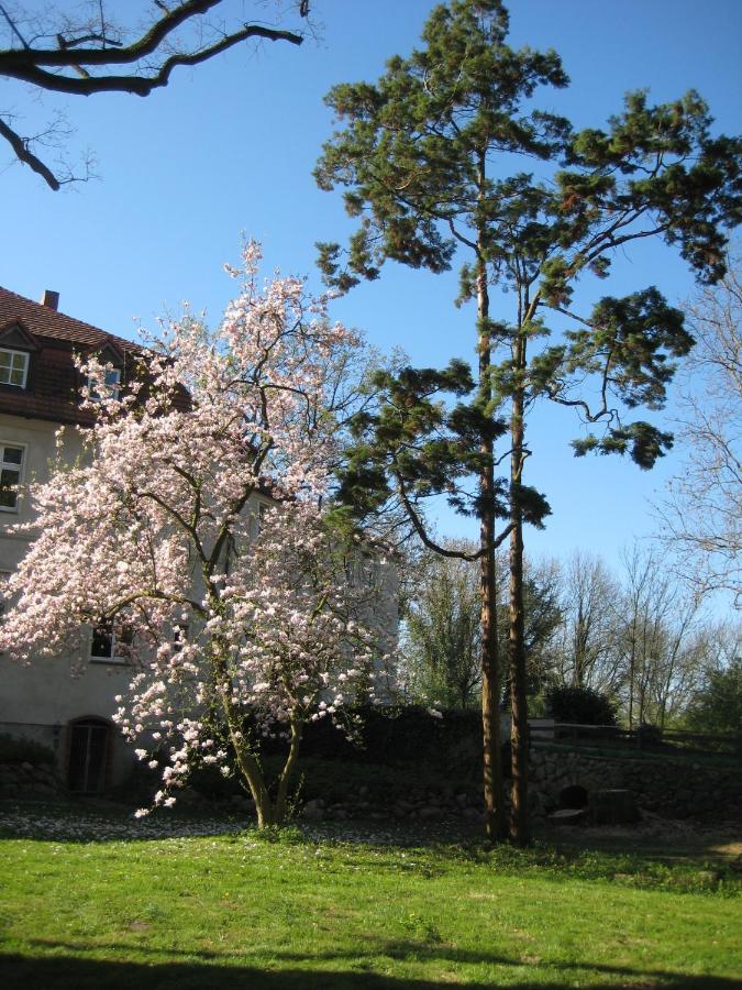 Gartenzimmer Im Schloss Neuhausen Neuhausen  Exterior photo